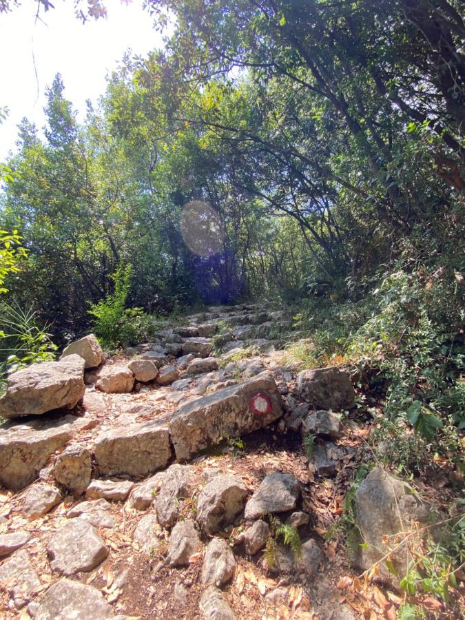 Adria Sea & Mountains Apartman Herceg Novi Kültér fotó