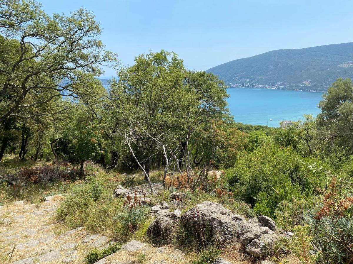 Adria Sea & Mountains Apartman Herceg Novi Kültér fotó